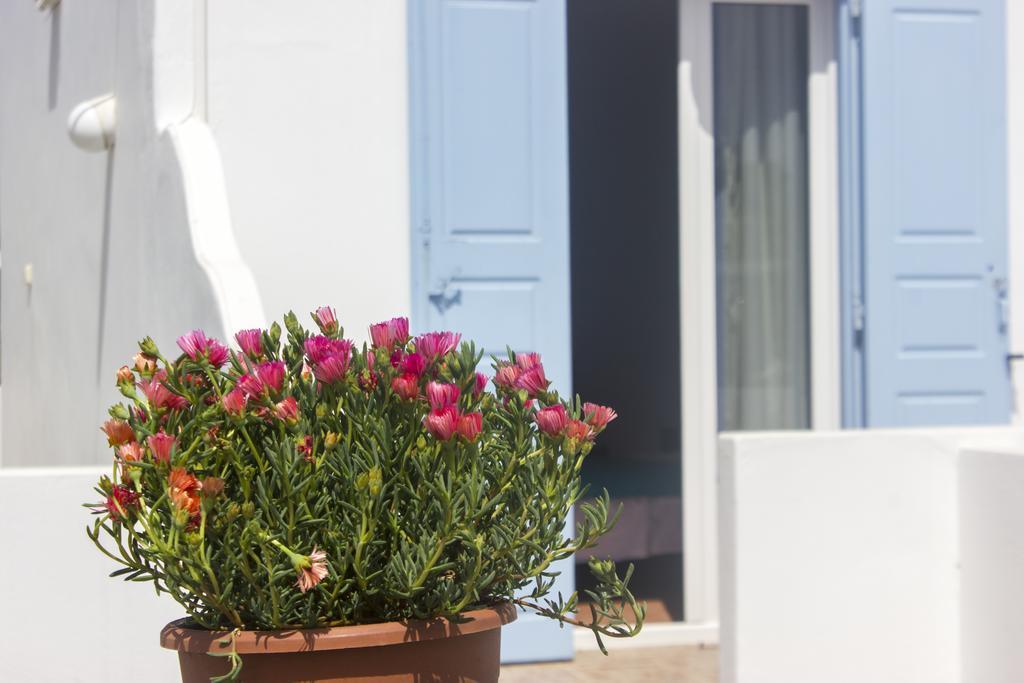 Sourmeli Garden * Mykonos Town