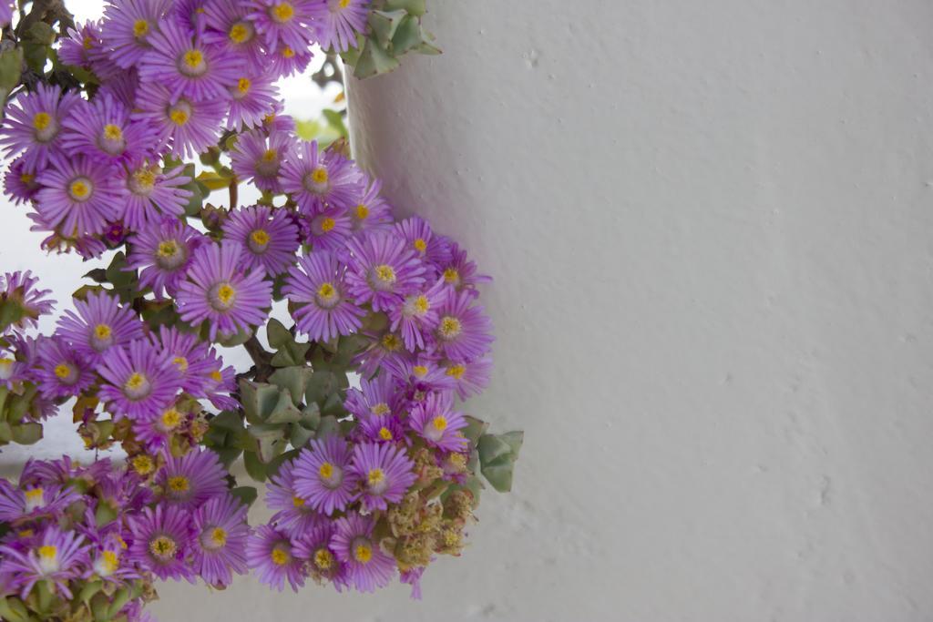 Hotel Sourmeli Garden *