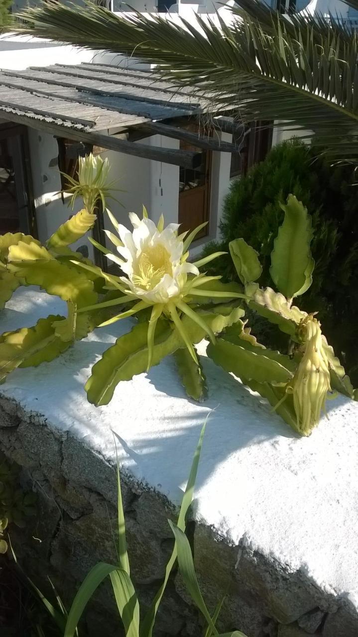 Sourmeli Garden Hotel Mykonos Town